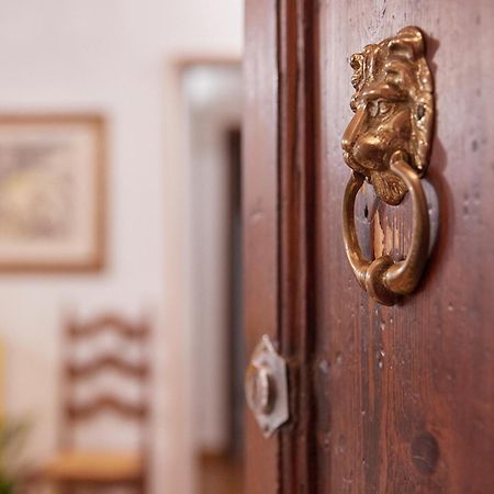 La Mi Casa A Pisa公寓 外观 照片